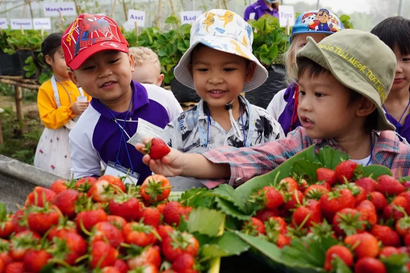 Field trip to Green House